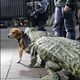 Illustration for article titled Best Dog Suit Ever